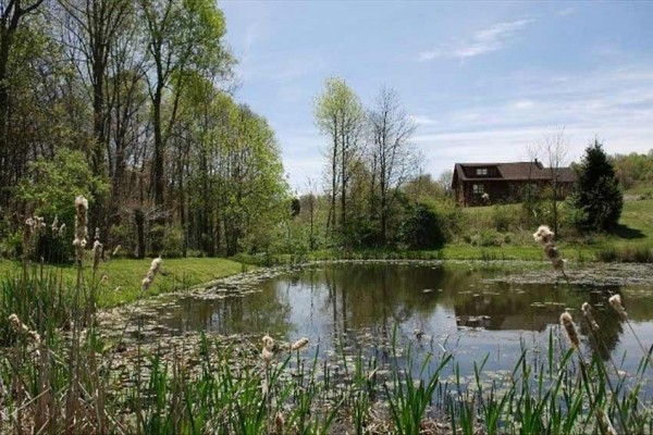 [Image: The Chestnut Cabin Luxury Cabin Rental]