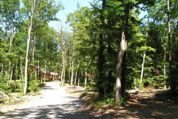 [Image: Luxury Log Cabin Nestled in Southern West Virginia Wilderness]