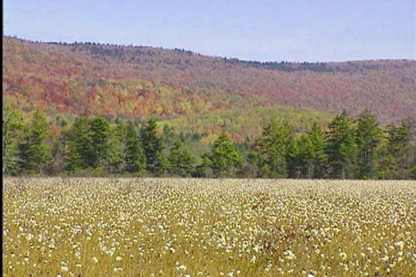 [Image: Cranberry Mountain Lodge-Private, Tranquil, Beautiful.]