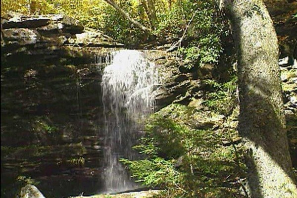 [Image: Cranberry Mountain Lodge-Private, Tranquil, Beautiful.]