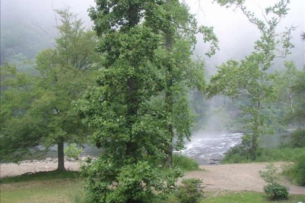 [Image: Summer Special Riverfront Cabin on Sparkling Clear Greenbier]