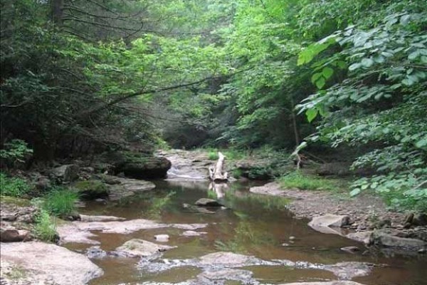 [Image: A Creek Runs Through This Private, Wooded Property!]