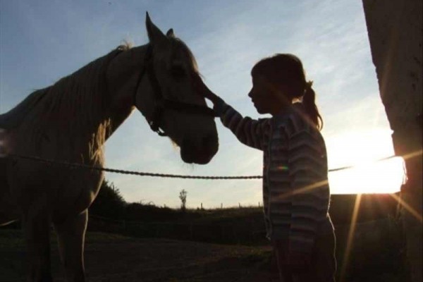 [Image: Family Vacation Farm in West Virginia: Ponds, Atvs, Horses...]