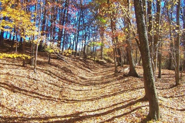 [Image: Family Vacation Farm in West Virginia: Ponds, Atvs, Horses...]