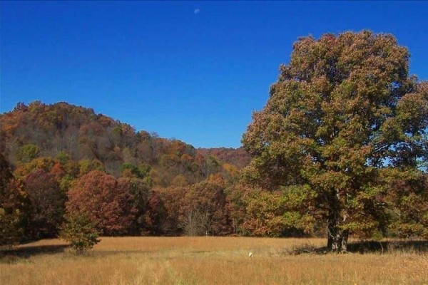 [Image: Family Vacation Farm in West Virginia: Ponds, Atvs, Horses...]