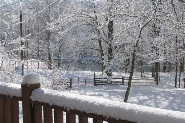 [Image: Serene, Cozy Cabin Nestled on the Greenbrier River Trail.]