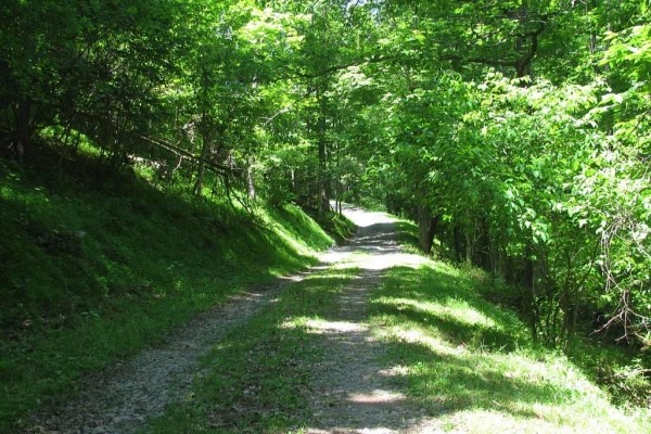 [Image: Serene, Cozy Cabin Nestled on the Greenbrier River Trail.]