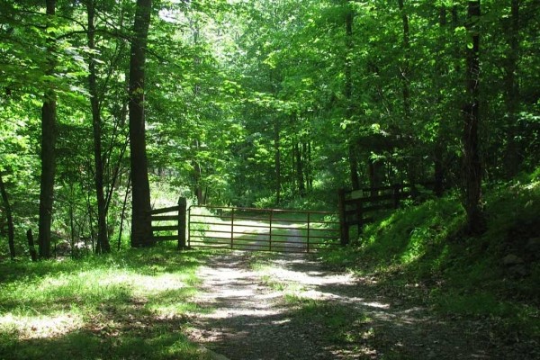 [Image: Serene, Cozy Cabin Nestled on the Greenbrier River Trail.]