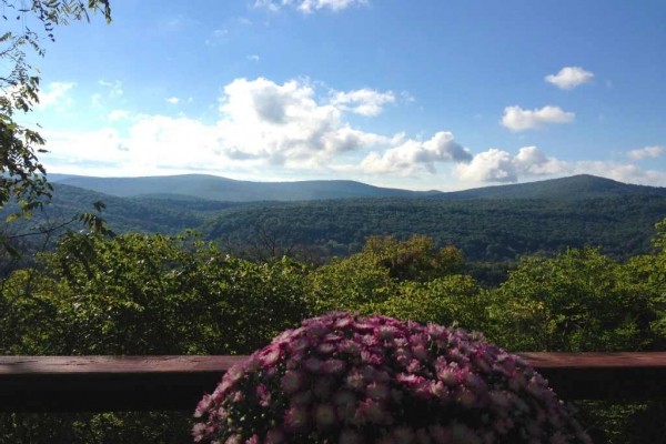 [Image: Lost River Mountaintop Retreat--Perched on 5 Acres W/ Stunning Views]