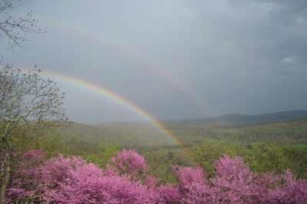 [Image: Lost River Mountaintop Retreat--Perched on 5 Acres W/ Stunning Views]