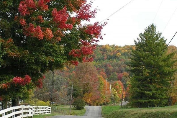 [Image: Newest Cottage in Scenic Mountain Forest Near New River Gorge]