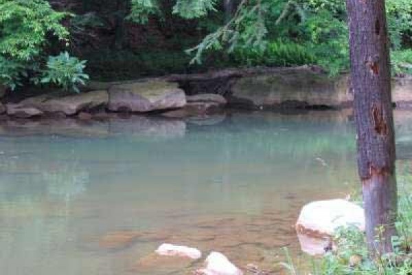 [Image: 2 BR Retreat Cottage on Whitewater Stream]