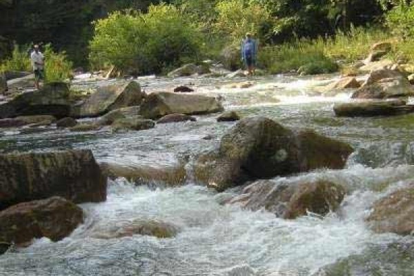 [Image: Cabin Rental at Abrams Creek Retreat]