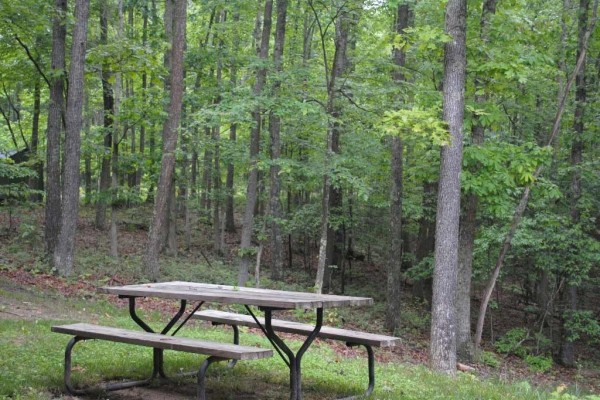 [Image: The Black Bear, a Beautiful Log Home]