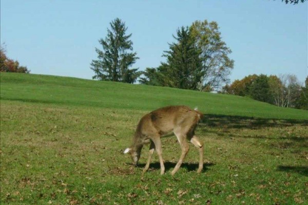 [Image: Near 2 State Parks.]