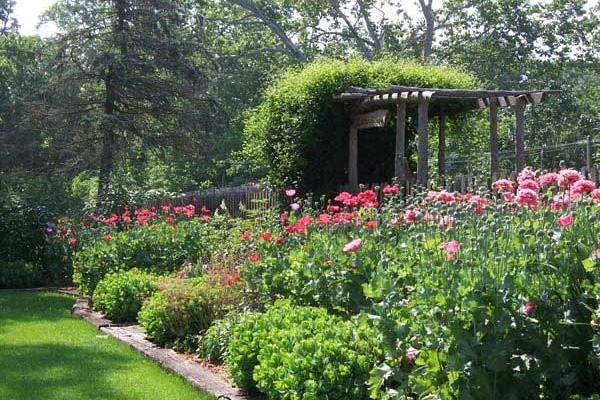 [Image: Woodside Cottage at Creekside Resort]