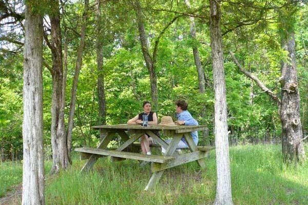 [Image: Woodside Cottage at Creekside Resort]