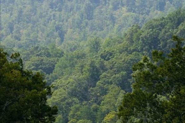 [Image: Porch Swing View of 4 Mountains, No Houses, 18 Forested Acres]