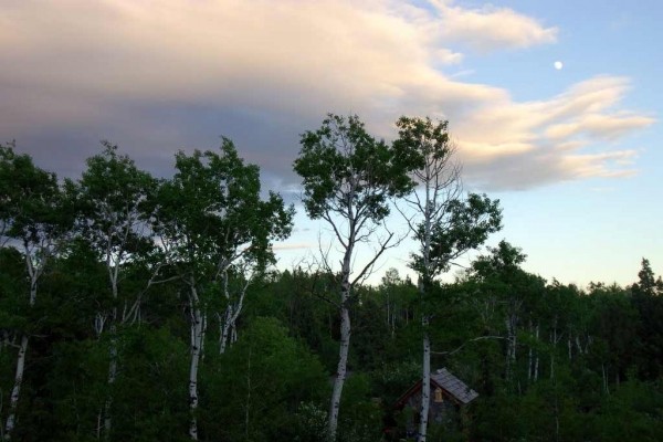 [Image: Aspen Hideout Near Yellowstone, Island Park, Grand Teton, Henry's Fork River]