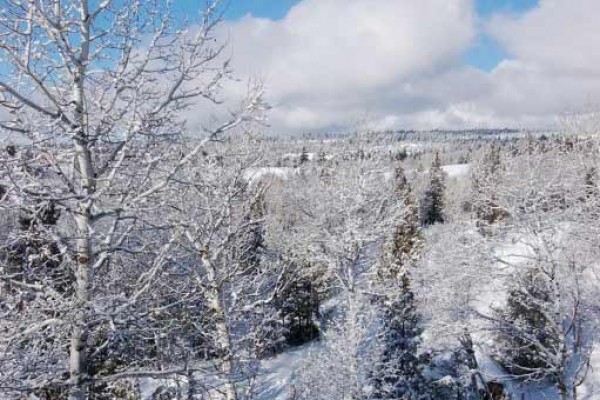 [Image: Aspen Hideout Near Yellowstone, Island Park, Grand Teton, Henry's Fork River]