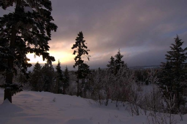 [Image: Aspen Hideout Near Yellowstone, Island Park, Grand Teton, Henry's Fork River]