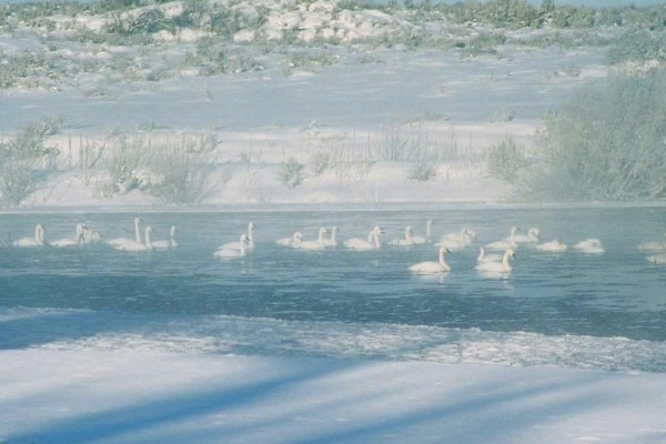 [Image: Idaho's Henry's Fork Ranch Offers Guests More Than All the Others.]