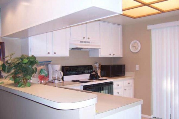 [Image: Recently Renovated East Lake Woodlands Lakeview 2 Bdr Condo]