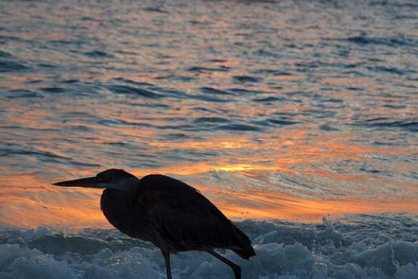 [Image: Stunning Waterfront Views. Ideal for Snowbirds]