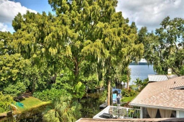 [Image: Lake Tarpon Executive Waterfront Million Dollar Pool Home,5 BR,3 Bath,3 Car Gar]