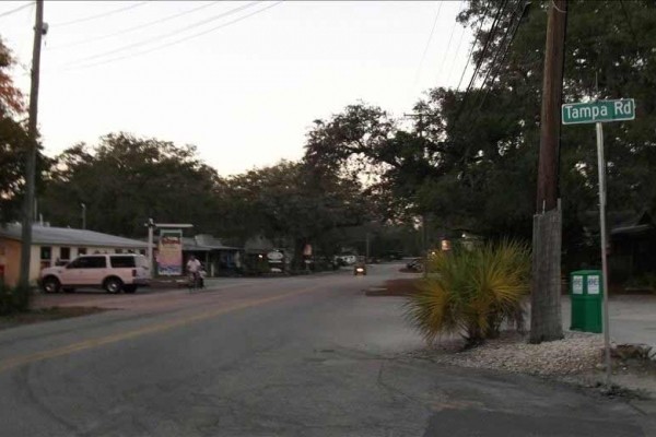 [Image: Great Ozona Home, Walk to the Water, Golf Cart Community.]