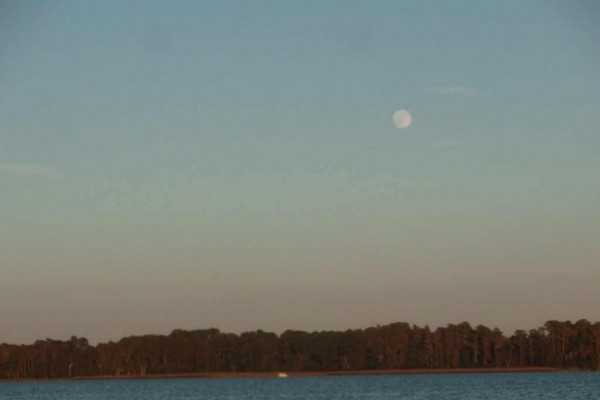 [Image: Lake Tarpon, 3/2 with Dock and Boat Lift]