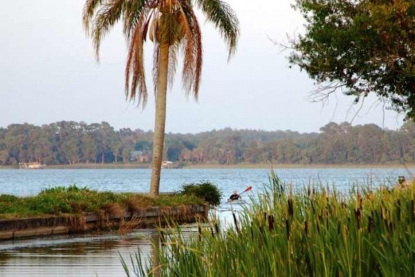 [Image: 'Paradise' Lake Tarpon Water Front Condo with 19' Boat]