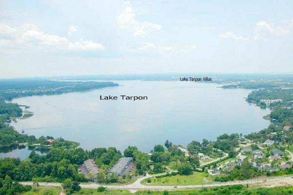 [Image: 'Paradise' Lake Tarpon Water Front Condo with 19' Boat]