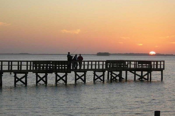 [Image: Family-Friendly Holiday House on the Pinellas Trail - Townhouse 'Paradise' French]