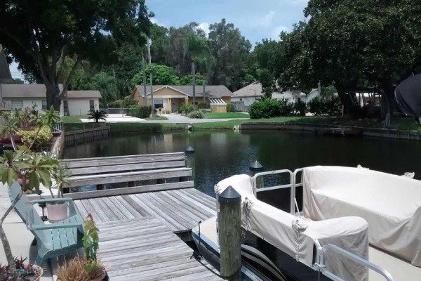 [Image: Beautiful Pool Home - Canal Access to Lake Tarpon]