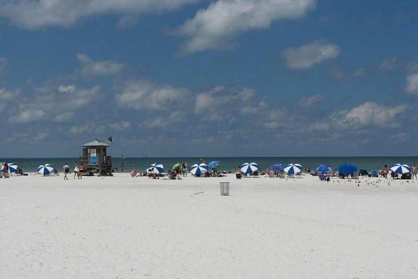 [Image: Family Friendly Apartment at the Pinellas Trail]