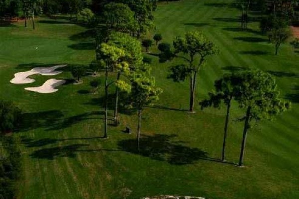 [Image: Summer Special.. Innisbrook Resort.. One Unit Left.... Save Over $60 a Night...]