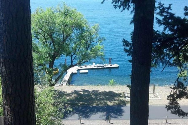 [Image: A Studio with a View Above Lake and Centennial Trail--Dock Access Included]