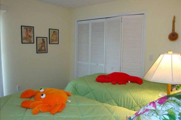 [Image: Ready for a Vacation! Sleepy Sea Turtle 2 BR/2BA Beachfront Condo for Rent!!]
