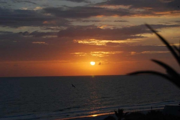 [Image: Renovated! Beach Front W/ Beautiful Sunset Views]