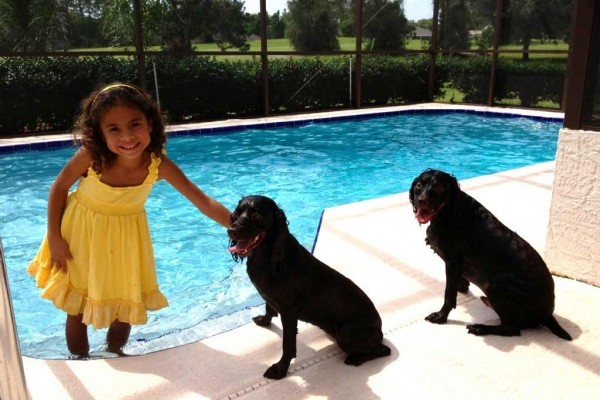 [Image: Family/Pet-Friendly on Golf Course with Solar Heated Pool]