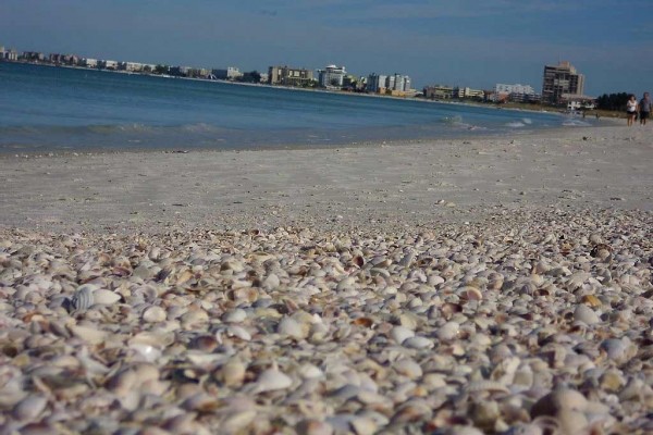 [Image: Discover the Charm of St Pete Beach]
