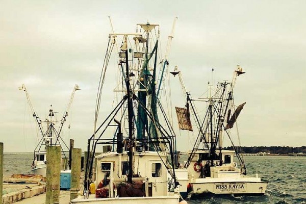 [Image: Front St. Beaufort Nc! Bring Your Boat, Kayaks, and Bikes!]