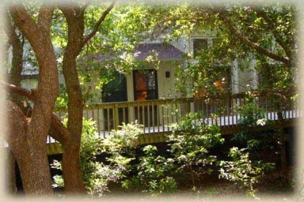 [Image: Oceanview Townhouse, Pool, Step Out and a Walkway Leads You to the Ocean!]