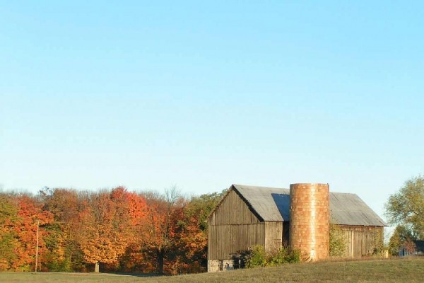 [Image: Homestead Glen Arbor 1 Bedrm 1 BA Condo Sleeping Bear Dunes Wifi]