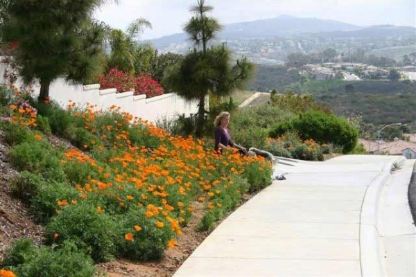 [Image: 20% Off_elegant Beach Canyon Palace Stunning Panoramic Views Four Seasons]