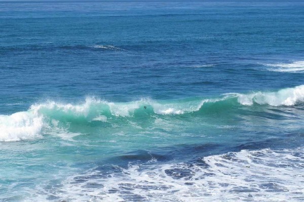 [Image: La Jolla Cape Cod Style Beauty 300yds Fr the Beach]