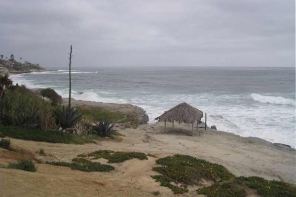 [Image: Best Deal in La Jolla! Adorable Cottage 1/2 Block from Beach.]