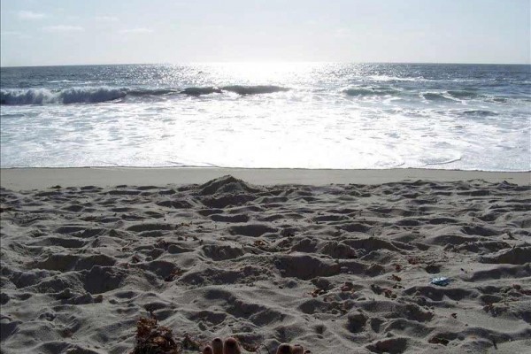 [Image: 1/2 Block to Beautiful Windansea Beach! Charming Beach Cottage.....]