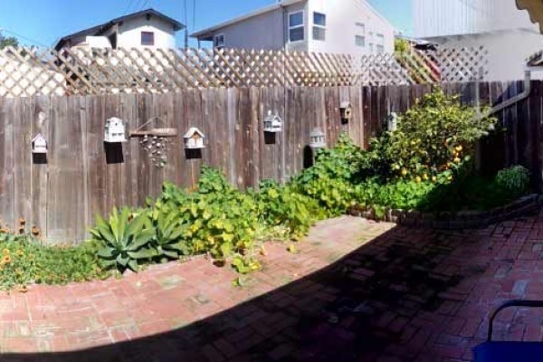 [Image: 1/2 Block to Beautiful Windansea Beach! Charming Beach Cottage.....]